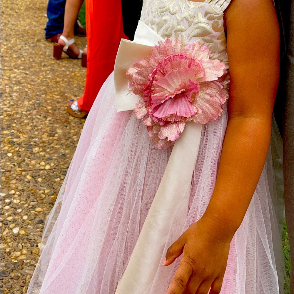 Chantilly place 4t dress